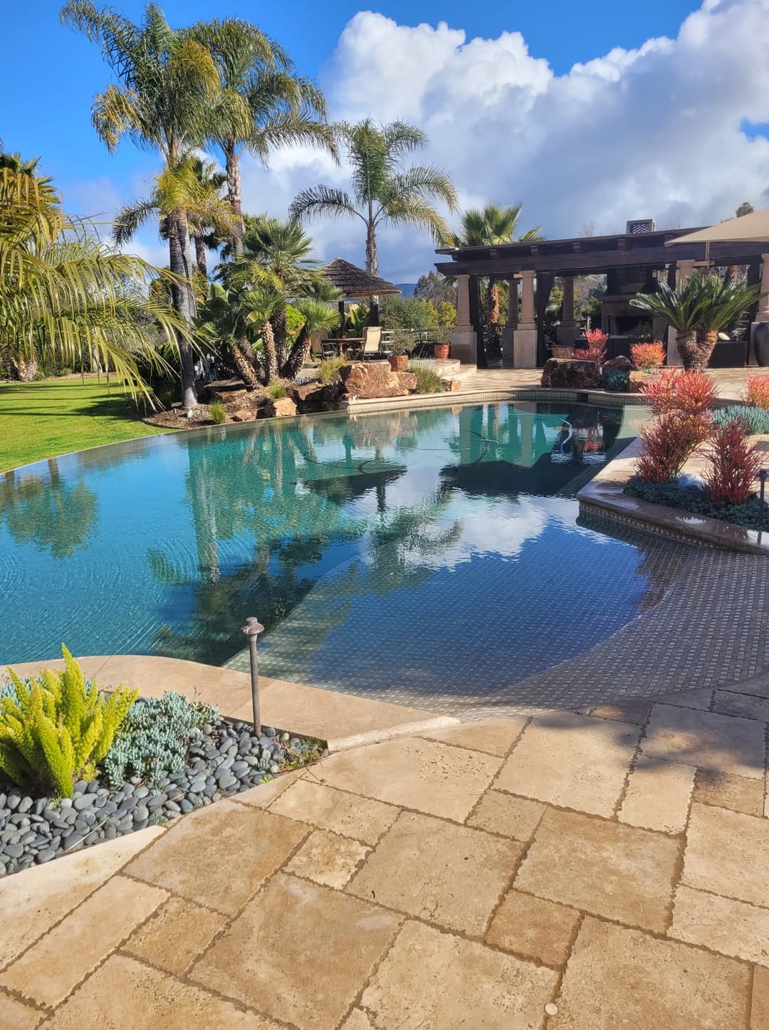 Luxurious backyard pool surrounded by palm trees and vibrant landscaping under a blue sky.