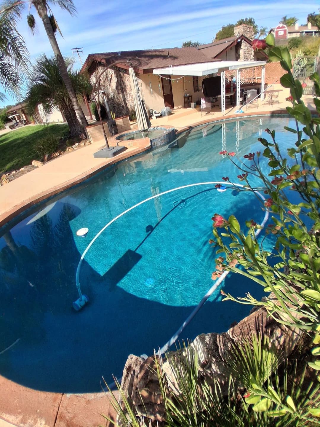 Backyard pool with clear water, palm trees, and landscaped garden in sunny weather.