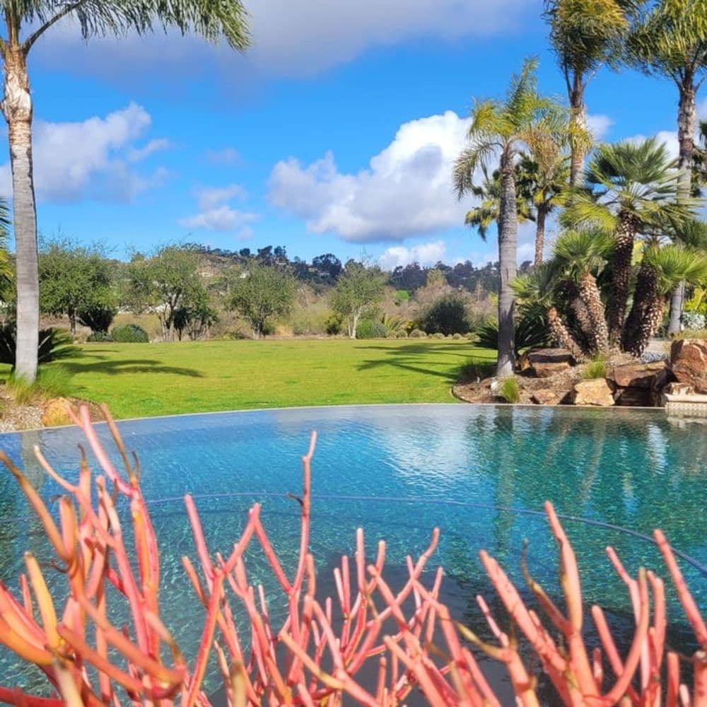 Lush backyard pool with vibrant plants and palm trees under a blue sky.