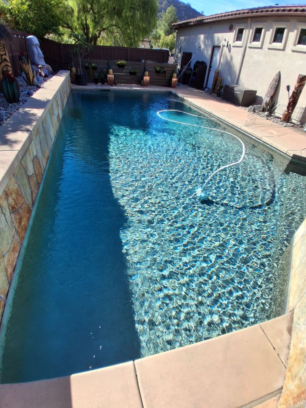 Crystal clear swimming pool surrounded by stone pavement and lush greenery in a sunny backyard.