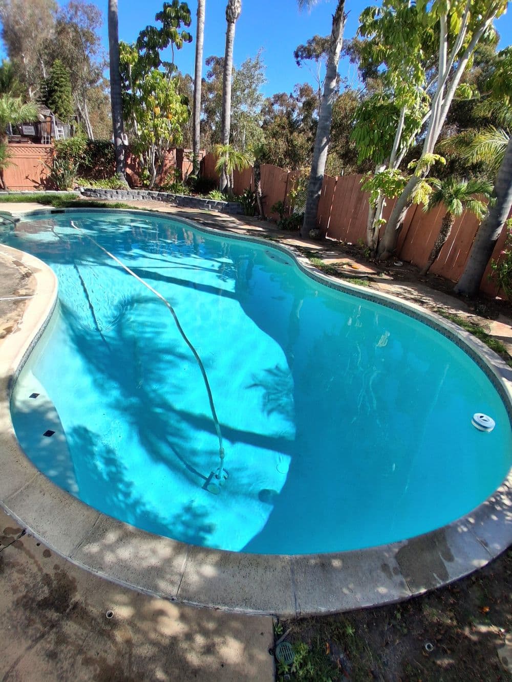 Vibrant outdoor swimming pool surrounded by lush greenery and palm trees.