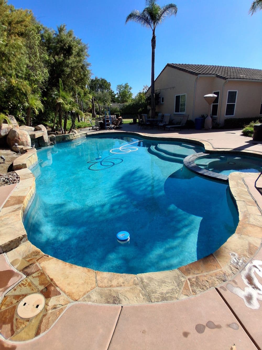 Backyard pool with clear water, stone edges, palm trees, and a sunny blue sky.