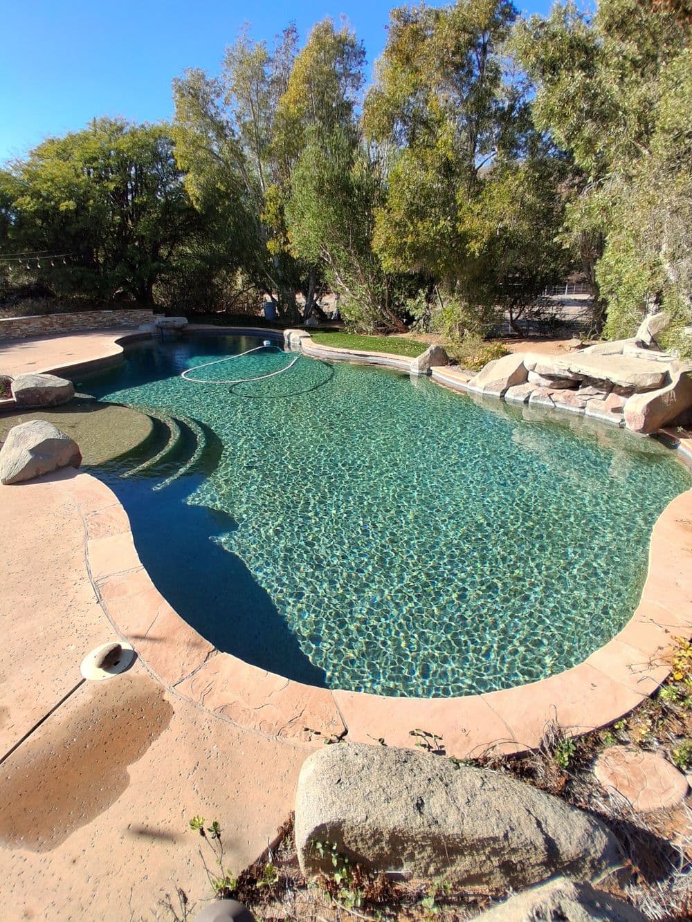Serene sparkling pool surrounded by natural stone and lush greenery in sunny outdoor setting.
