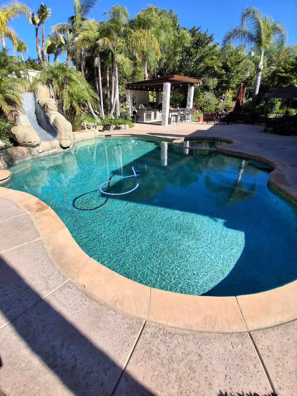 Lush backyard with a sparkling pool, palm trees, and a shaded seating area.